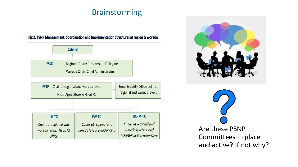 Brainstorming Are these PSNP Committees in place and active? If not why? 