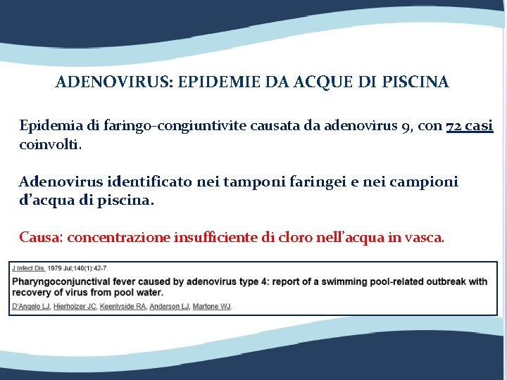 ADENOVIRUS: EPIDEMIE DA ACQUE DI PISCINA Epidemia di faringo-congiuntivite causata da adenovirus 9, con