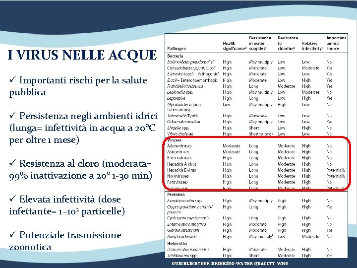 I VIRUS NELLE ACQUE ü Importanti rischi per la salute pubblica ü Persistenza negli