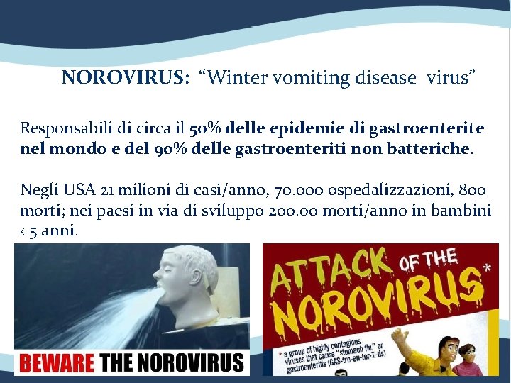NOROVIRUS: “Winter vomiting disease virus” Responsabili di circa il 50% delle epidemie di gastroenterite