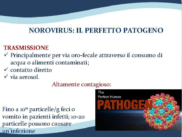 NOROVIRUS: IL PERFETTO PATOGENO TRASMISSIONE ü Principalmente per via oro-fecale attraverso il consumo di