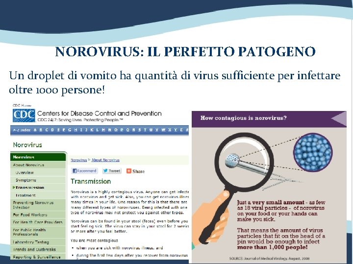 NOROVIRUS: IL PERFETTO PATOGENO Un droplet di vomito ha quantità di virus sufficiente per