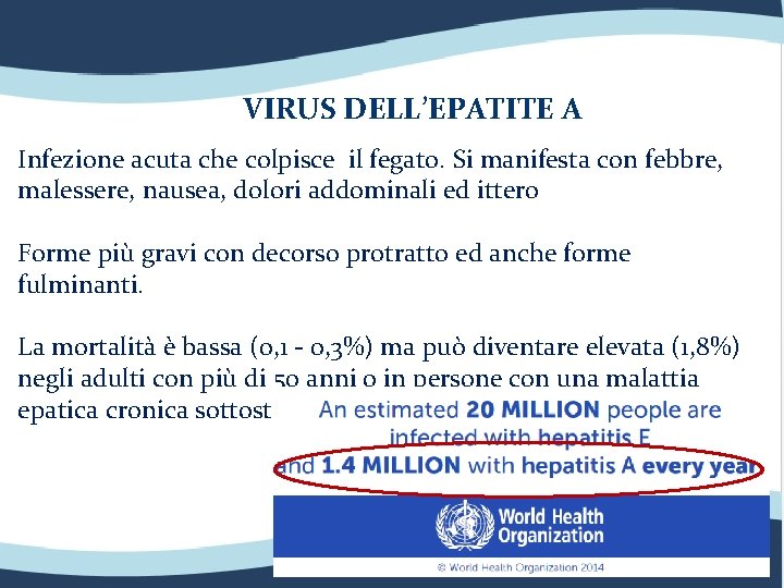 VIRUS DELL’EPATITE A Infezione acuta che colpisce il fegato. Si manifesta con febbre, malessere,