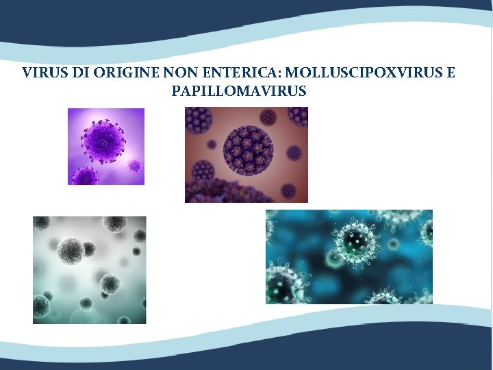 VIRUS DI ORIGINE NON ENTERICA: MOLLUSCIPOXVIRUS E PAPILLOMAVIRUS 