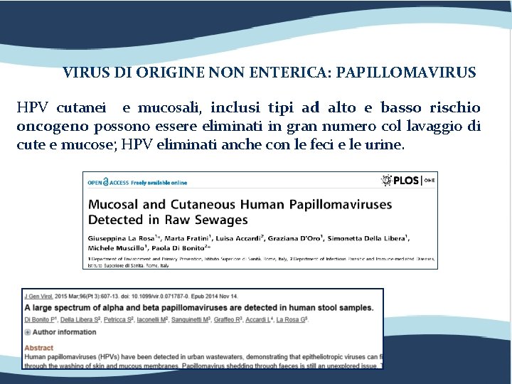 VIRUS DI ORIGINE NON ENTERICA: PAPILLOMAVIRUS HPV cutanei e mucosali, inclusi tipi ad alto