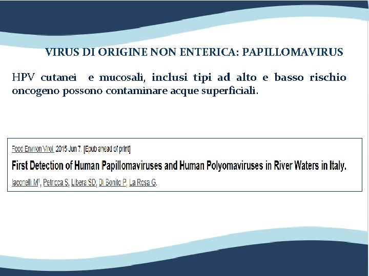 VIRUS DI ORIGINE NON ENTERICA: PAPILLOMAVIRUS HPV cutanei e mucosali, inclusi tipi ad alto