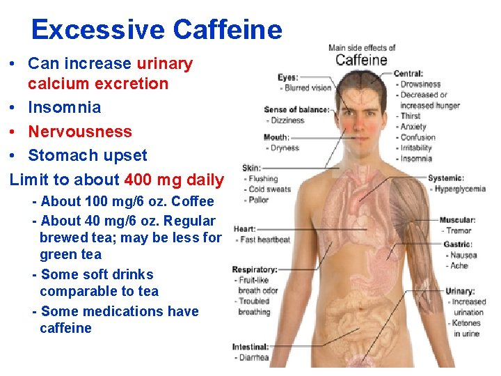 Excessive Caffeine • Can increase urinary calcium excretion • Insomnia • Nervousness • Stomach