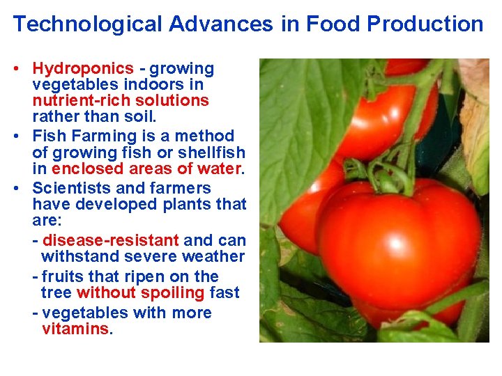 Technological Advances in Food Production • Hydroponics - growing vegetables indoors in nutrient-rich solutions