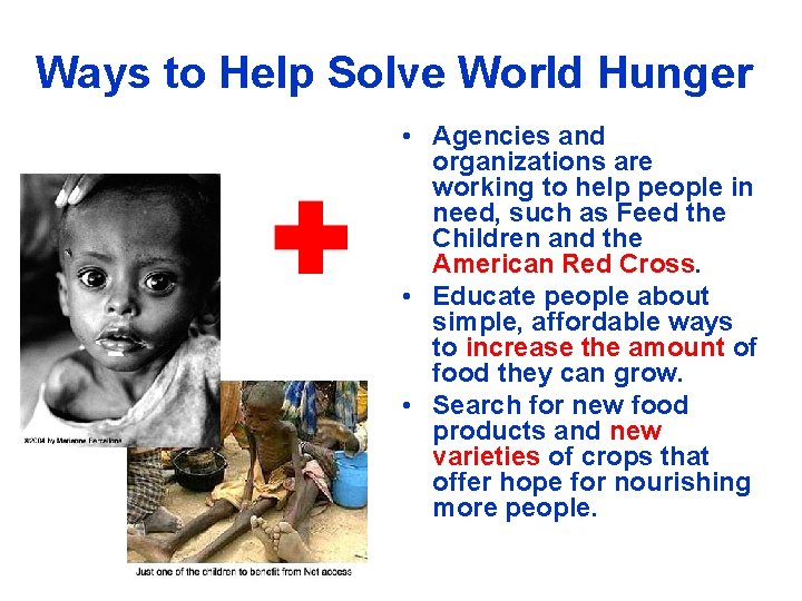 Ways to Help Solve World Hunger • Agencies and organizations are working to help