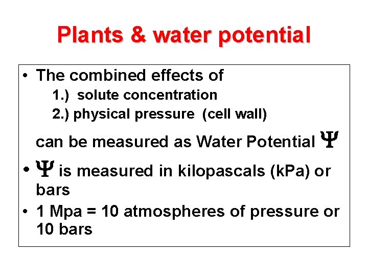 Plants & water potential • The combined effects of 1. ) solute concentration 2.