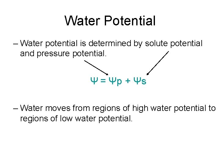 Water Potential – Water potential is determined by solute potential and pressure potential. Ψ