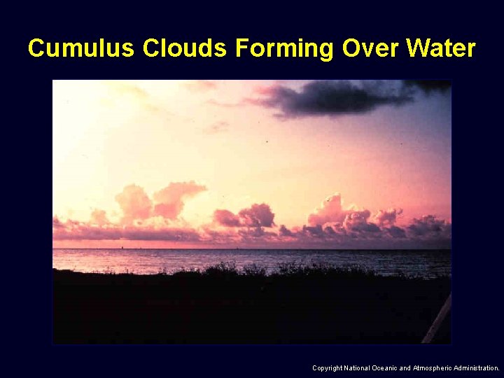 Cumulus Clouds Forming Over Water Copyright National Oceanic and Atmospheric Administration. 