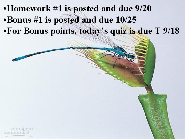  • Homework #1 is posted and due 9/20 • Bonus #1 is posted