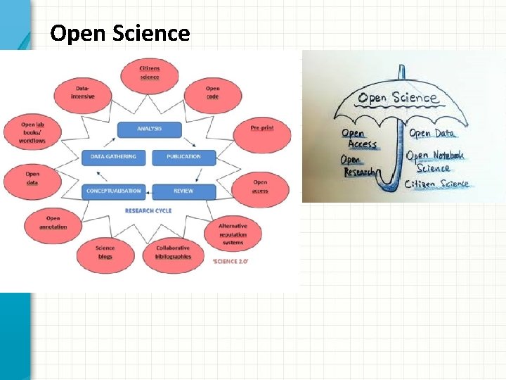 Open Science 