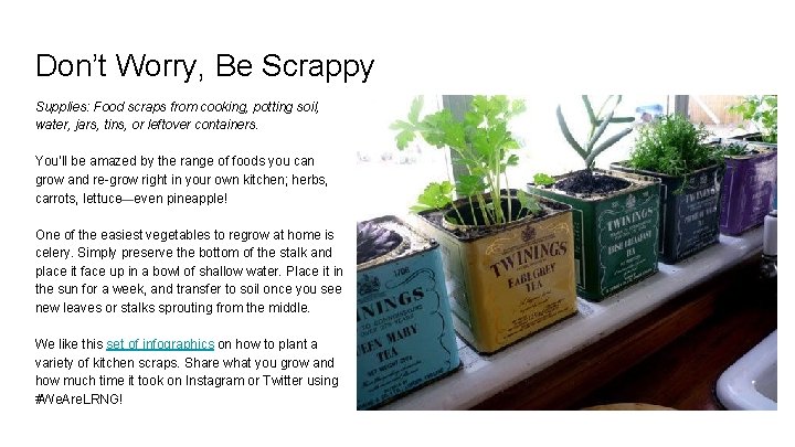 Don’t Worry, Be Scrappy Supplies: Food scraps from cooking, potting soil, water, jars, tins,