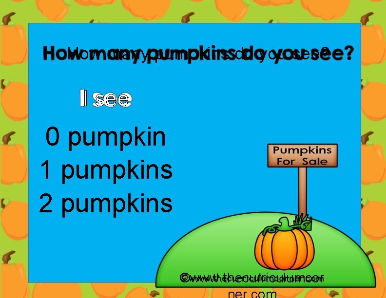 How many pumpkins do you see? I see 0 pumpkin 1 pumpkins 2 pumpkins