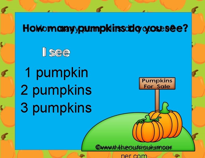 How many pumpkins do you see? I see 1 pumpkin 2 pumpkins 3 pumpkins