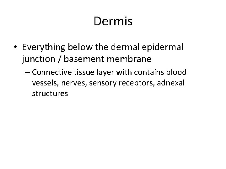 Dermis • Everything below the dermal epidermal junction / basement membrane – Connective tissue