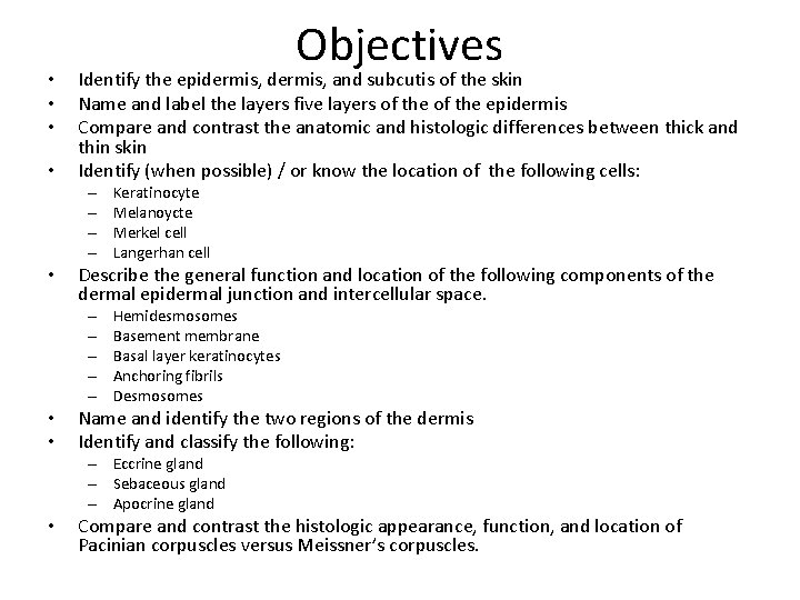  • • Objectives Identify the epidermis, and subcutis of the skin Name and