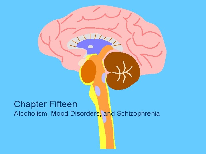 Chapter Fifteen Alcoholism, Mood Disorders, and Schizophrenia 