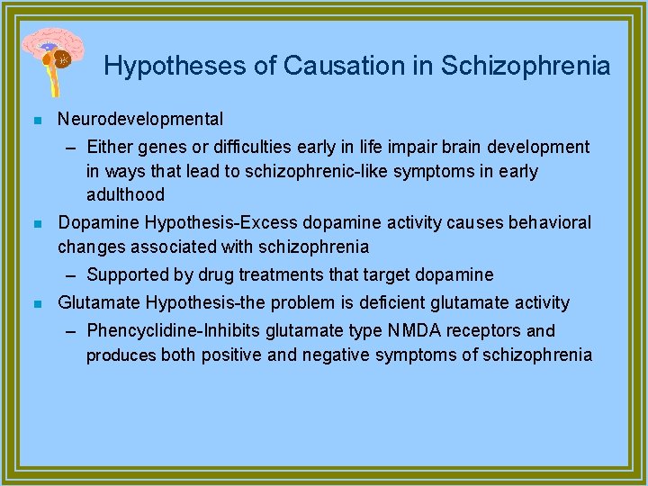Hypotheses of Causation in Schizophrenia n Neurodevelopmental – Either genes or difficulties early in