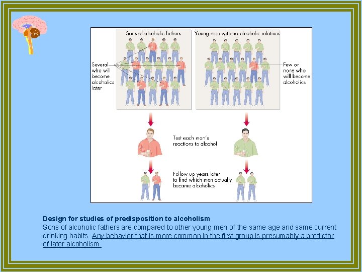 Design for studies of predisposition to alcoholism Sons of alcoholic fathers are compared to