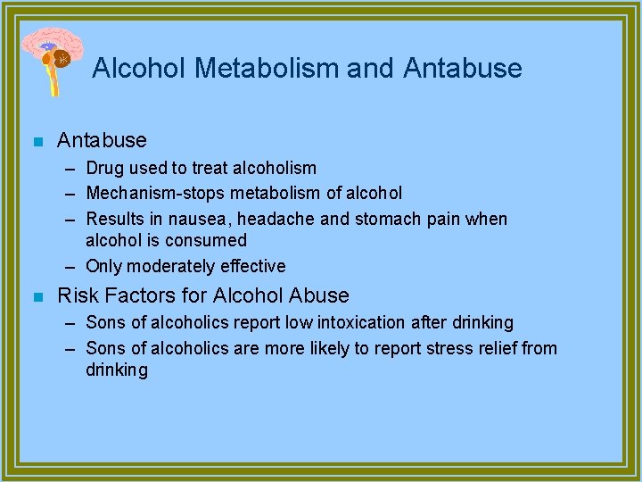 Alcohol Metabolism and Antabuse n Antabuse – Drug used to treat alcoholism – Mechanism-stops