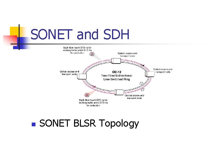 SONET and SDH n SONET BLSR Topology 