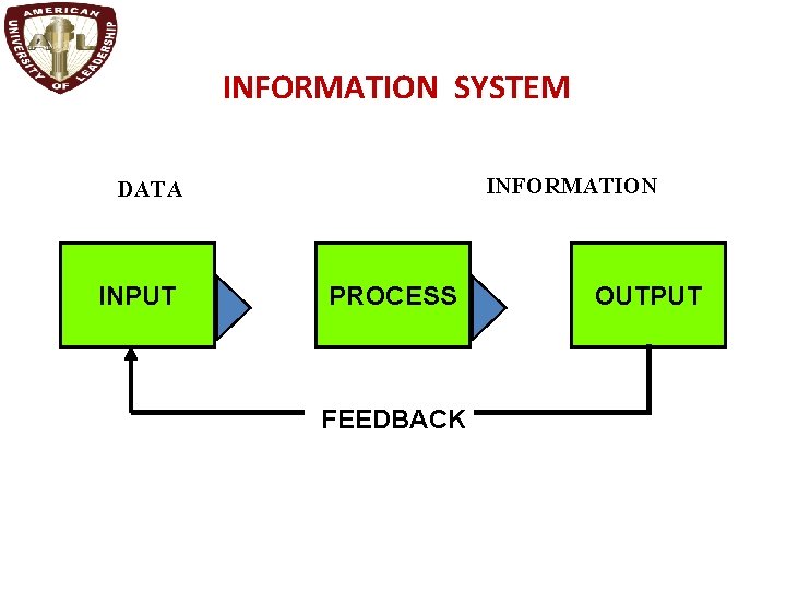 INFORMATION SYSTEM INFORMATION DATA INPUT PROCESS FEEDBACK OUTPUT 