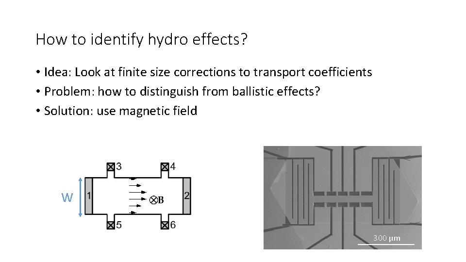How to identify hydro effects? • Idea: Look at finite size corrections to transport