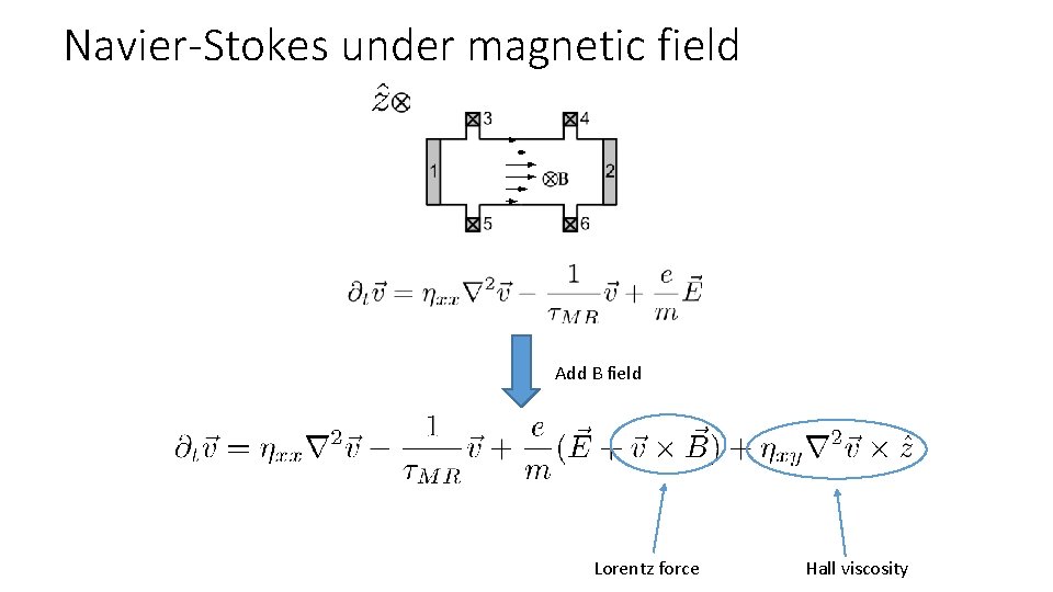 Navier-Stokes under magnetic field Add B field Lorentz force Hall viscosity 