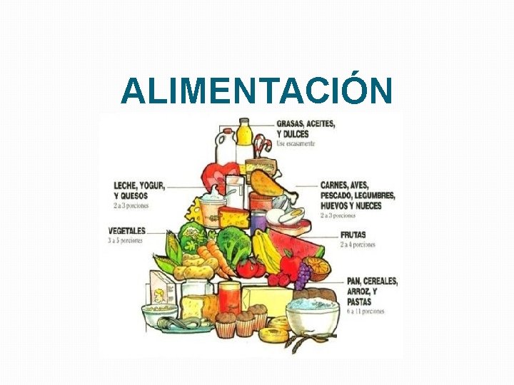 ALIMENTACIÓN 