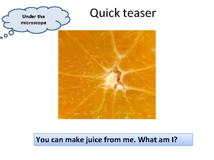 Under the microscope Quick teaser You can make juice from me. What am I?