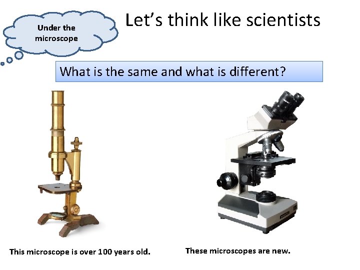 Under the microscope Let’s think like scientists What is the same and what is