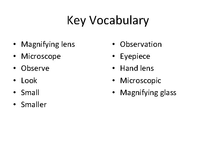 Key Vocabulary • • • Magnifying lens Microscope Observe Look Smaller • • •