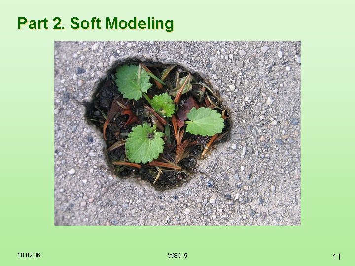 Part 2. Soft Modeling 10. 02. 06 WSC-5 11 