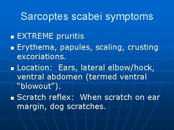 Sarcoptes scabei symptoms n n EXTREME pruritis Erythema, papules, scaling, crusting excoriations. Location: Ears,