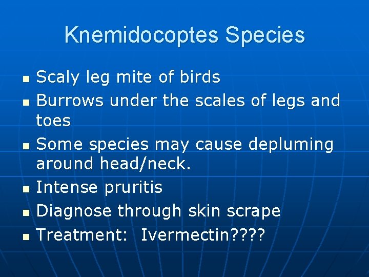 Knemidocoptes Species n n n Scaly leg mite of birds Burrows under the scales