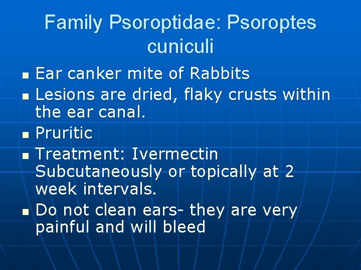 Family Psoroptidae: Psoroptes cuniculi n n n Ear canker mite of Rabbits Lesions are