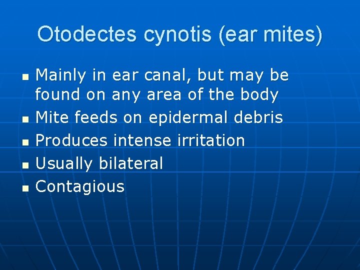 Otodectes cynotis (ear mites) n n n Mainly in ear canal, but may be