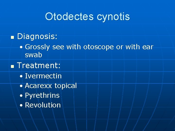 Otodectes cynotis n Diagnosis: • Grossly see with otoscope or with ear swab n