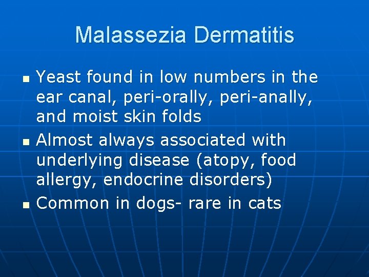 Malassezia Dermatitis n n n Yeast found in low numbers in the ear canal,