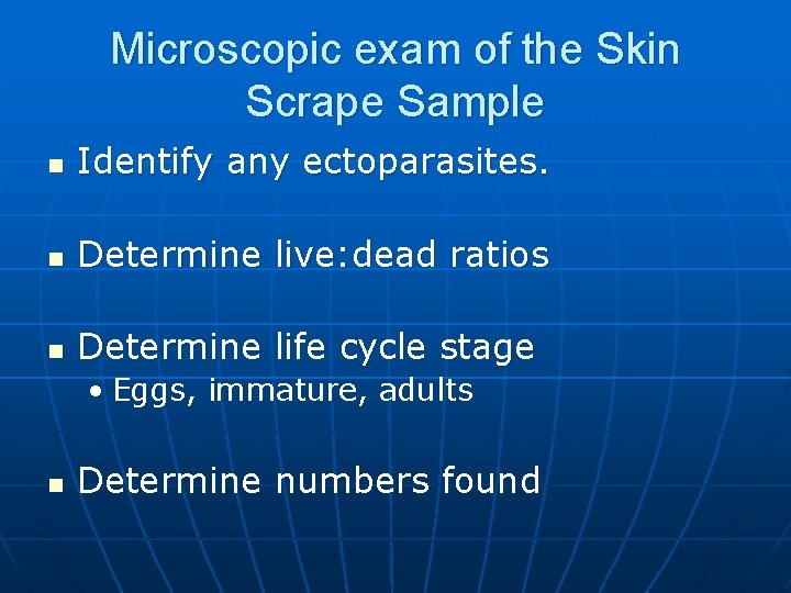 Microscopic exam of the Skin Scrape Sample n Identify any ectoparasites. n Determine live: