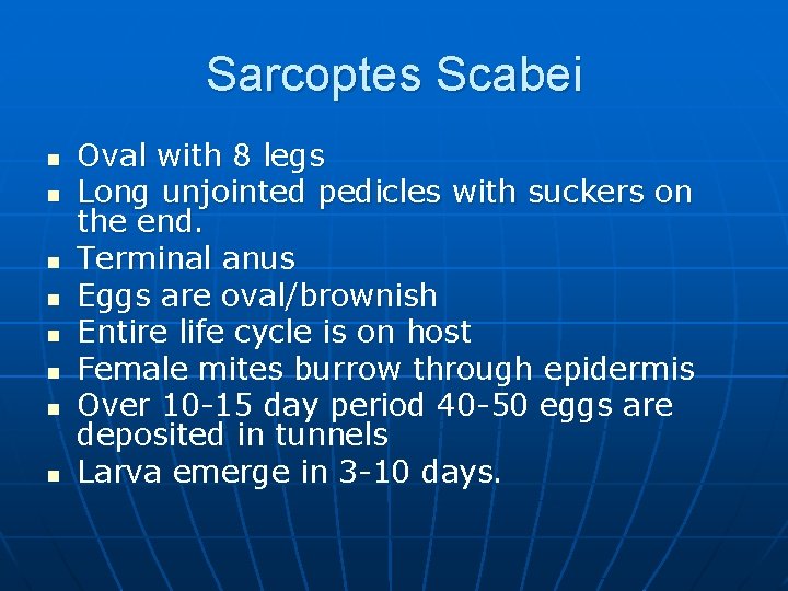 Sarcoptes Scabei n n n n Oval with 8 legs Long unjointed pedicles with