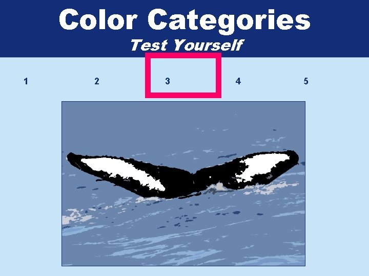 Color Categories Test Yourself 1 2 3 4 5 