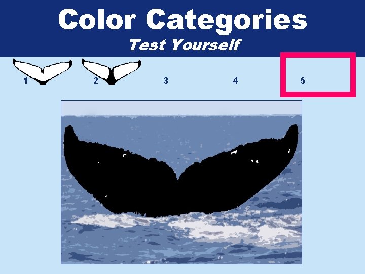 Color Categories Test Yourself 1 2 3 4 5 