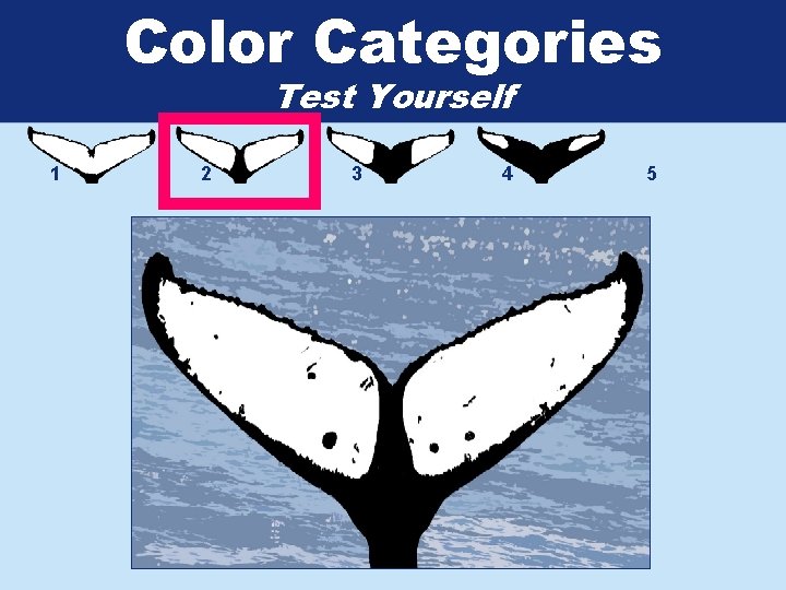 Color Categories Test Yourself 1 2 3 4 5 
