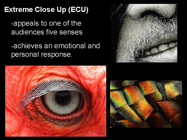 Extreme Close Up (ECU) -appeals to one of the audiences five senses -achieves an