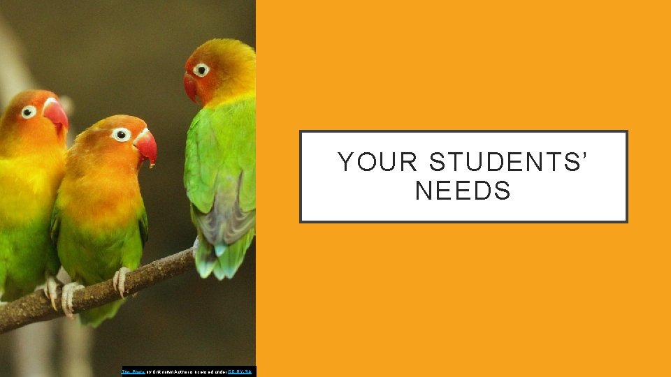 YOUR STUDENTS’ NEEDS This Photo by Unknown Author is licensed under CC BY-SA 