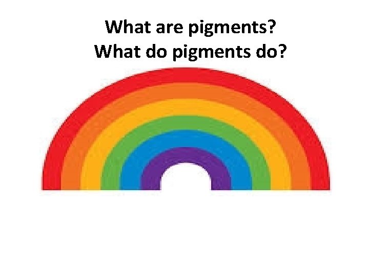 What are pigments? What do pigments do? 